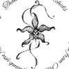 fallen_orchids